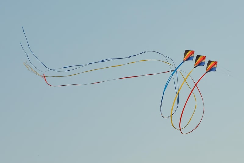 Causality Loops